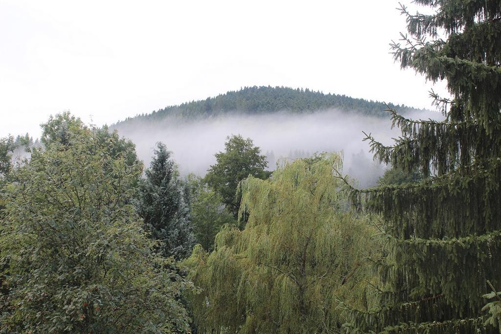 Hotel Les Bruyeres Ventron Luaran gambar